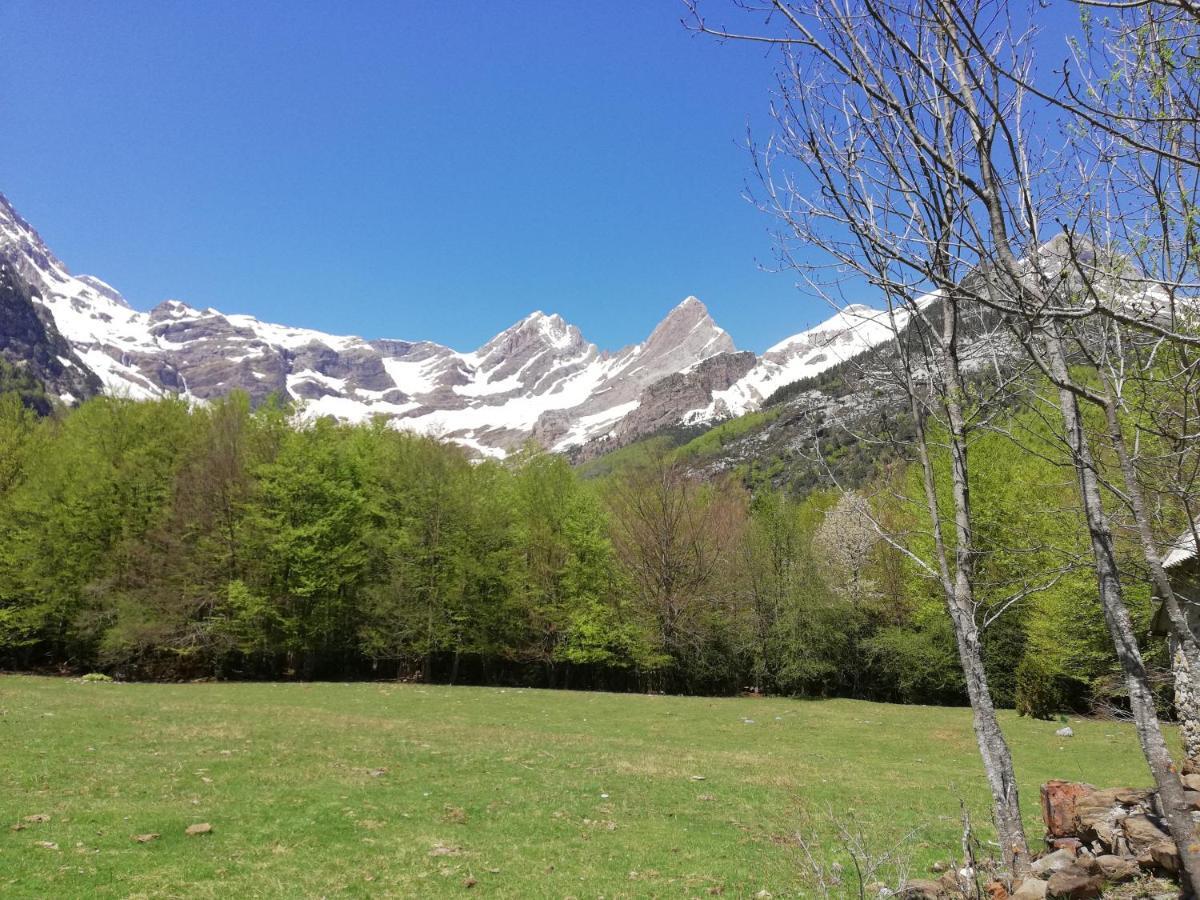 Apartamento El Fenal De Turmo Casa Rural "El Capricho De Nieves" لاسبونا المظهر الخارجي الصورة